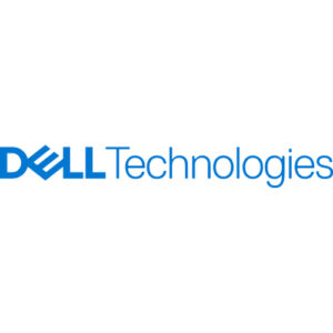 Dell - 480GB SSD SATA READ INTENSIVE 6GBPS 512E 2.5IN HOT-PLUG CUS KI
