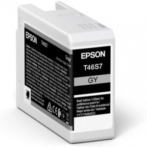 Epson - SINGLEPACK GRAY T46S7