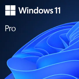Microsoft - WIN PRO 11 64-BIT ALL LNG ESD .