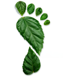 reduce your carbon footprint / remanufactured IT hardware / sustainable IT solutions